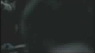 Thoughts Without Words