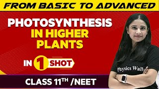Photosynthesis In Higher Plants In One Shot - JEE/NEET/Class 11th Boards | Victory Batch