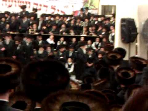 Pshevorsk wedding sivan 5772 # 1