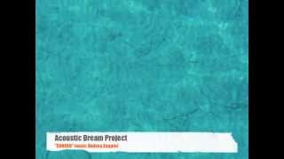 ACOUSTIC DREAM PROJECT - 