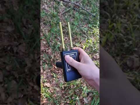 Compass Long Range Gold 24-400 Multi-Frequency