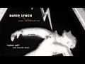 David Lynch - 'Wishin' Well' (Hot Since 82 ...