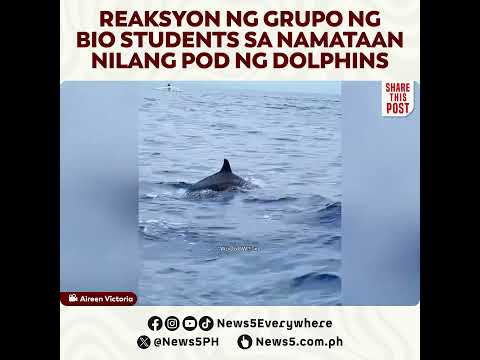 Grupo ng bio students, namangha sa bumulaga sa kanilang dolphins sa Cebu