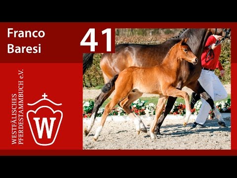 41 Franco Baresi HF v. Fracino - Belissimo M