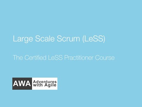 Large-Scale Scrum (LeSS) Training Feedback