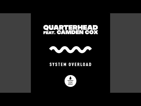 System Overload (feat. Camden Cox)