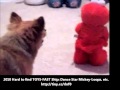 ITot Tickle Me Elmo Attack