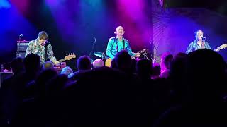 Arthur - Hoodoo Gurus @ Felton Music Hall, Felton CA Sep 26 2024