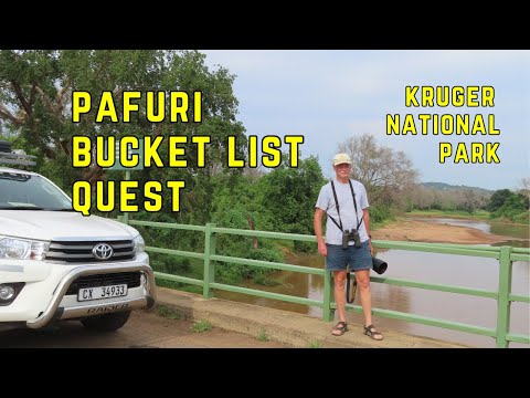 Wild Kruger Moments & A Rare Bird Quest in Pafuri