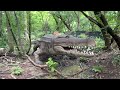 Detroit Zoo And Dinosauria