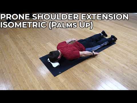 Prone Shoulder Extension Isometric (Palms Up)