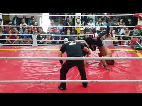 EL LUCHADOR DE NOMBRE LEMURIA DERROTA AL LUCHADOR LICANTROPO