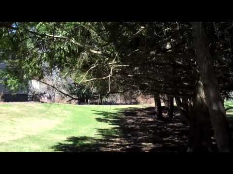 32 Meadowbrook Rd, Westwood, MA - Front Yard