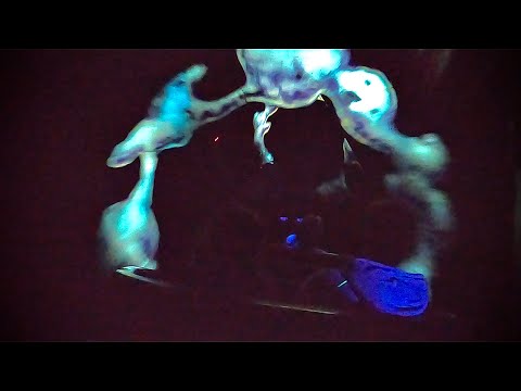 Eurosat – CanCan Coaster - Onride (Back Row) | EUROPA PARK