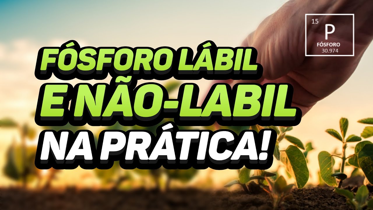 FÓSFORO LÁBIL E NÃO-LÁBIL - NA PRÁTICA!