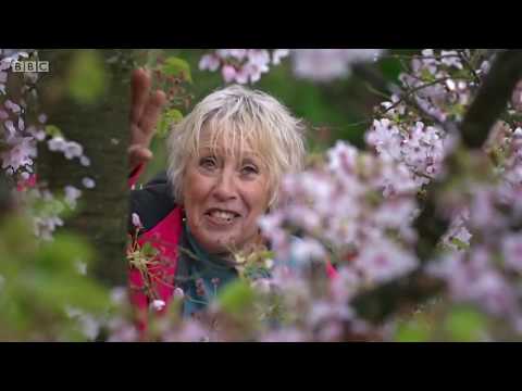 Gardeners' World 2020 Episode 7 hd