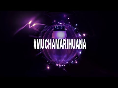 Cartel de Santa - Mucha Marihuana #VIEJOMARIHUANO