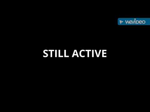 STILL ACTIVE - TOKOHOOD (2018)
