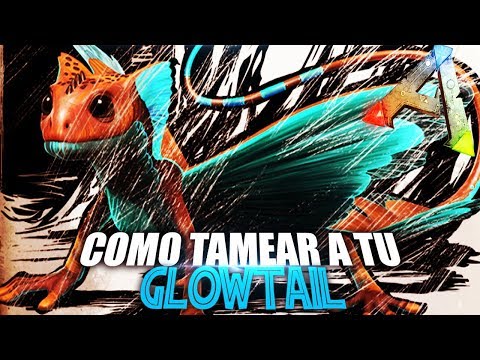 HOW TO TAME YOUR GLOWTAIL | Spanish Guide | Ark: Survival Evolved
