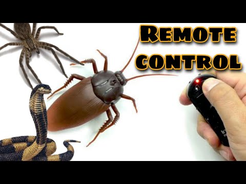 Top 3 Creepy Rc Toys | Rc Toys Unboxing | Remote Control Toys
