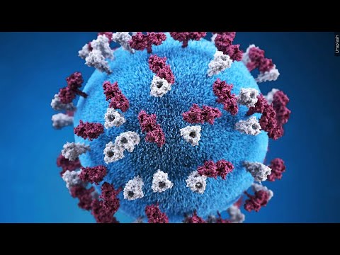 DPH confirms case of measles in Sumter County, more possible exposure