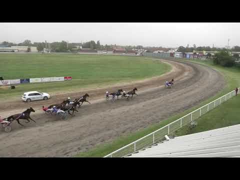 Trka "Spree Kiss" 01.08.2021 Eugenie du Citrus - Goran Matković