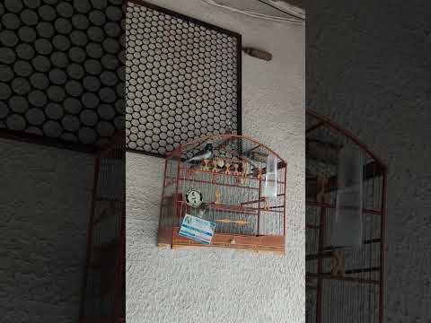 4 de fevereiro de 2026