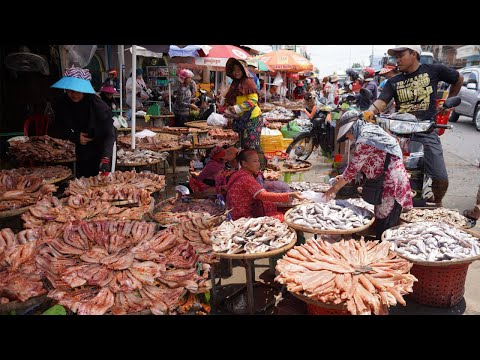 Cambodian Dry Fish Market In The Morning​ -​ Lifestyle & Activities Of Khmer People Buy Dry Fish