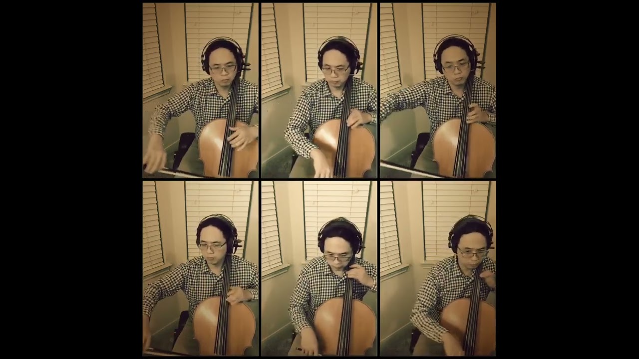 Promotional video thumbnail 1 for Woody String Duo