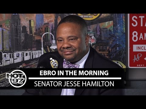 Senator Jesse Hamilton Talks IDC + New Bill For #RaiseTheAge