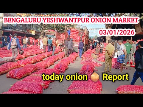 Aamdani kam, Rate jump! | Bengaluru Yashwantpur Onion Market Report #onion #mandi #kanda #rate #bhav