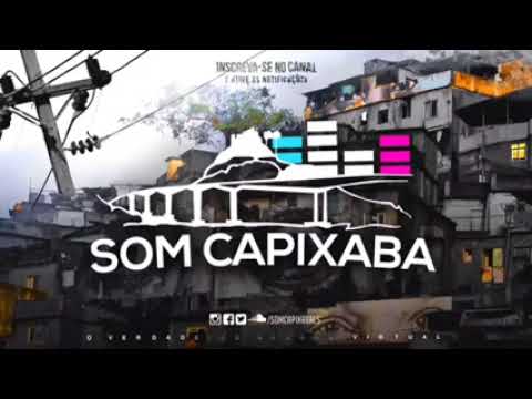 VAI PITBULL ENRAIVADO DJ BERTOLOSSI & DJ DENILSON SOM CAPIXABA 2023