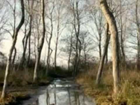 SELAMI KOLONJA ~ MALE O JU MALE~ O JU KORBA.....