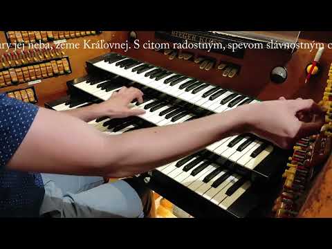 JKS 331 - Bez prestania nám žiari (Dóm sv. Alžbety)