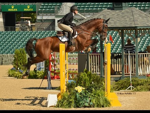 Diamant III S 2008 KWPN Stallion (Quasimodo Z x Numero Uno)