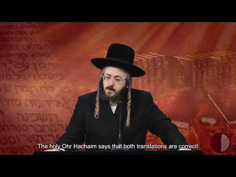 רגע קדוש מהאור החיים תשפ"ג - פרשת לך לך יום ג'