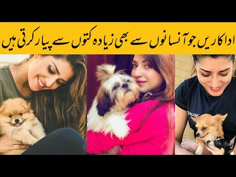 Famous Paksitani Actresses Who Love Their Dogs /Wajiha Entertainment