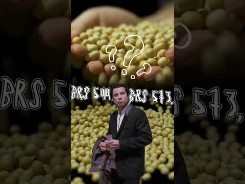 POV: Você é um agricultor iniciante escolhendo sua primeira semente ?
