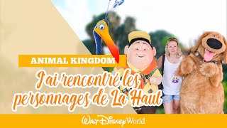 DISNEY WORLD : ANIMAL KINGDOM  LE PLUS BEAU PARC ?