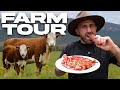 How I Live On My Farm