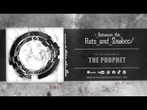 The Prophet - Between the Rats and Snakes