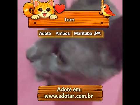 Vídeo de tom