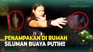 Download lagu Menelusuri Misteri Rumah Siluman Buaya | Jejak Paranormal Eps 01 FULL mp3