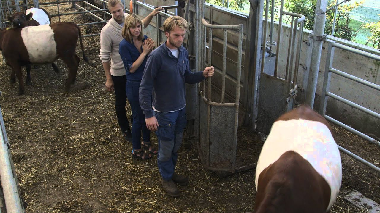 Placeholder from YouTube