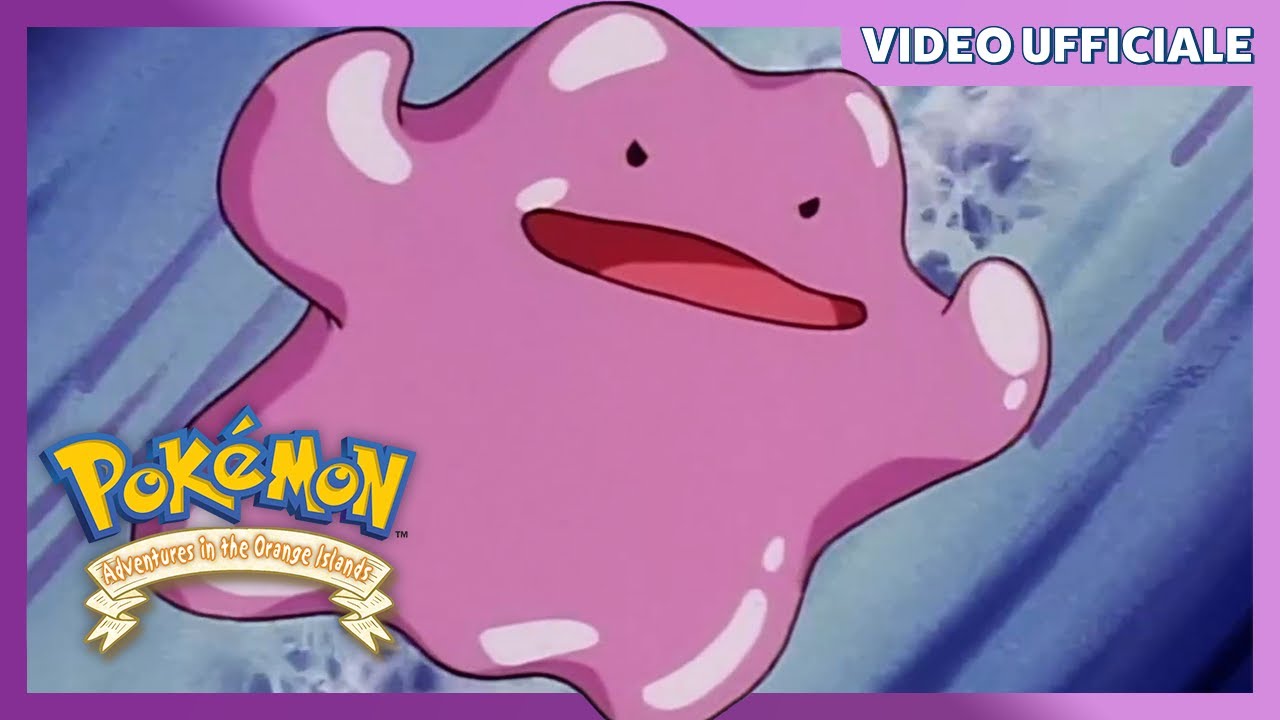 Ditto contro Pikachu! | Adventures in the Orange Islands | Video ufficiale