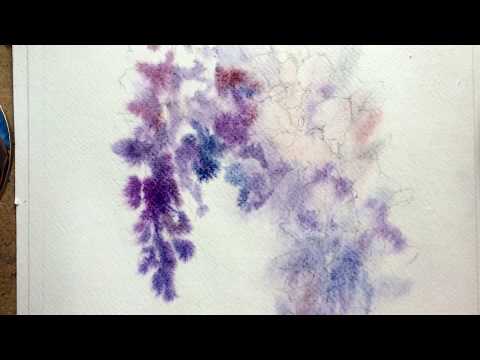 WATERCOLOR - SPEEDPAINT - WISTERIA (АКВАРЕЛЬ - ГЛИЦИНИЯ)