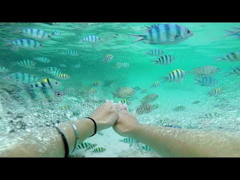 Tourism Malaysia - Malaysia in The Moment (Experience) thumbnail
