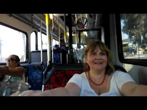 20190129 Sydney wild bus driver