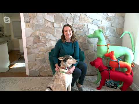 Harness Lead 2-in-1 Harness & Leash with Rubber Stops on QVC