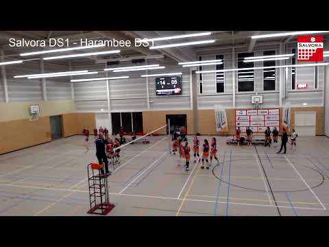 Salvora DS1 - Harambee DS1